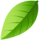 02_Environmental-1